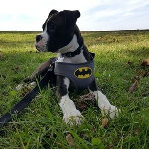 Meet your Posher, Naomi